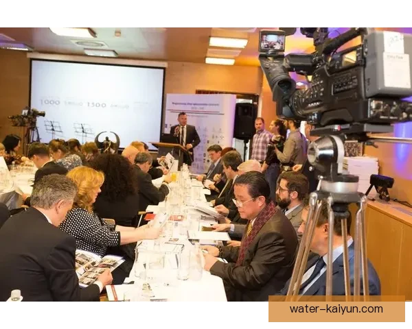 匈牙利1954亚军表现分析，展现了强劲竞争力与团队协作潜力